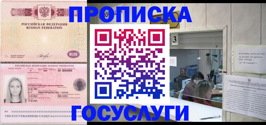 прописка паспорт в Гатчине